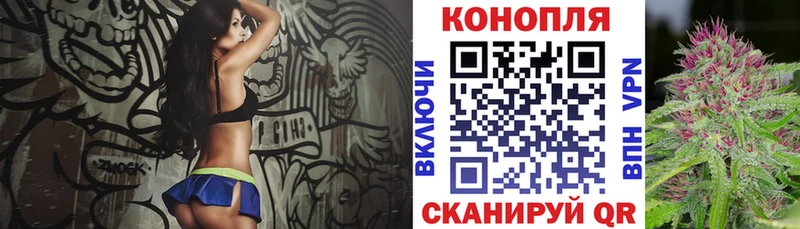 Шишки марихуана сатива  купить  цена  сайты даркнета формула  Ахтубинск 